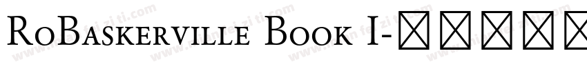 RoBaskerville Book I字体转换